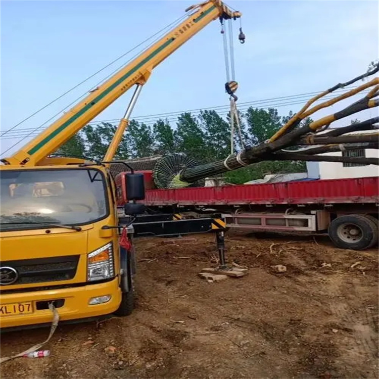 白茅湖农场100吨吊车租赁费用怎么算？3大关键因素+省钱技巧全解析